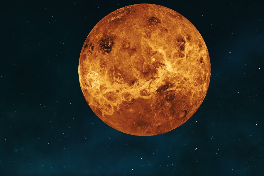 Venus Climate