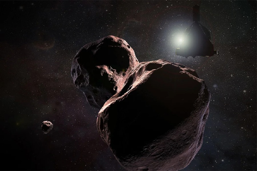 What Can Be Found in the Kuiper Belt