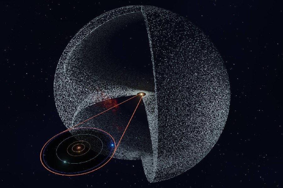 What Is Beyond the Oort Cloud